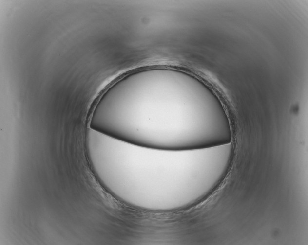 X0000094191220200710260947