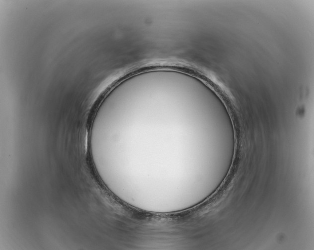 X0000094191221200710260947