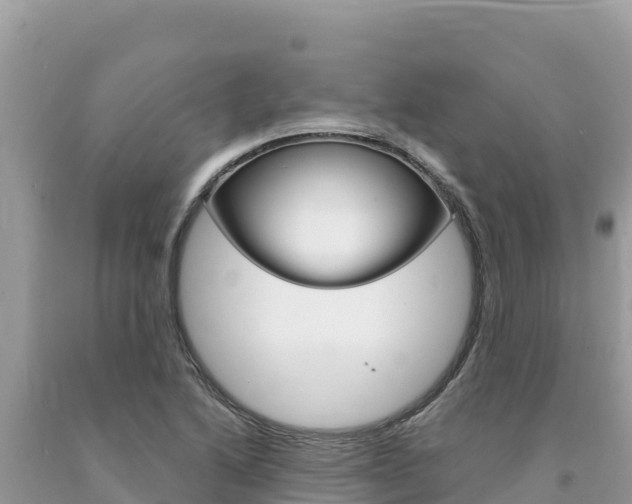 X0000094191222200710260947