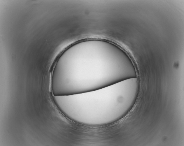 X0000094191223200710260947