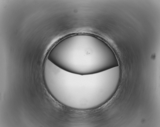 X0000094191224200710260947