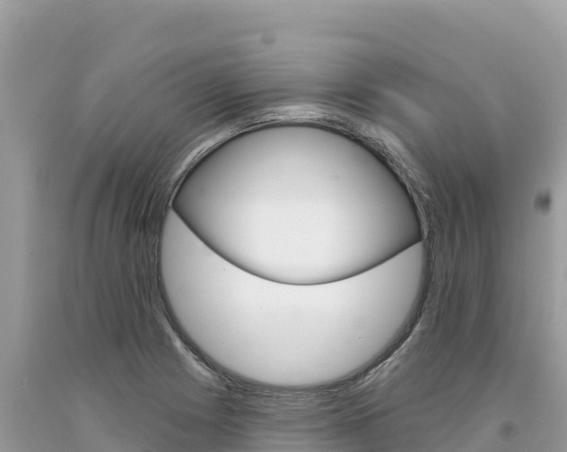 X0000094191225200710260947