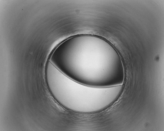X0000094191230200710260947