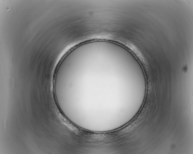 X0000094191232200710260947