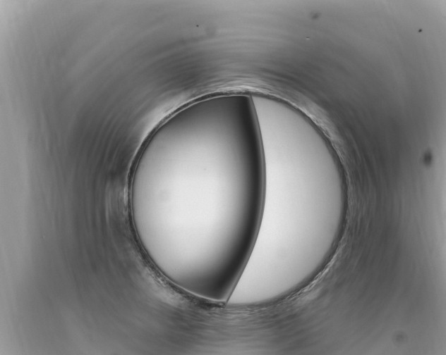 X0000094191234200710260947