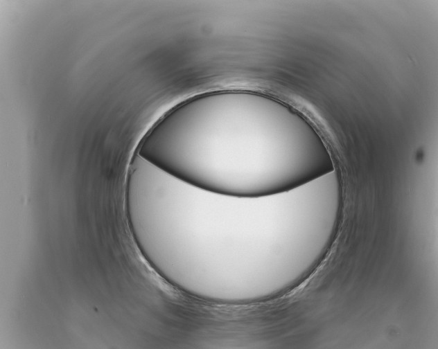 X0000094191236200710260947