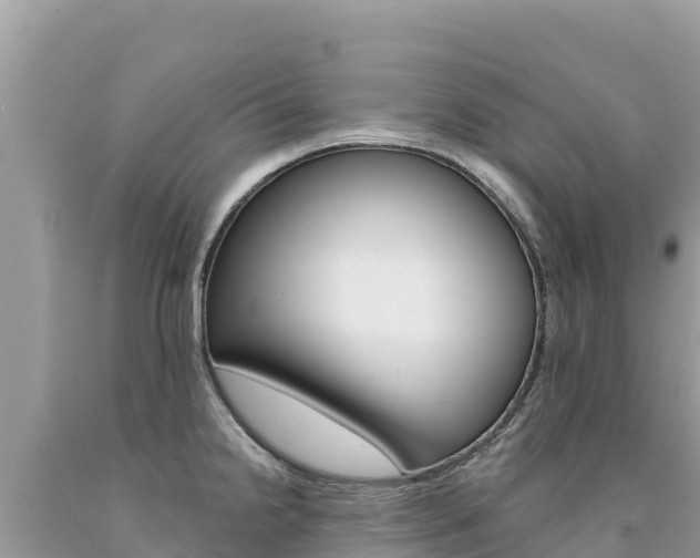 X0000094191238200710260947