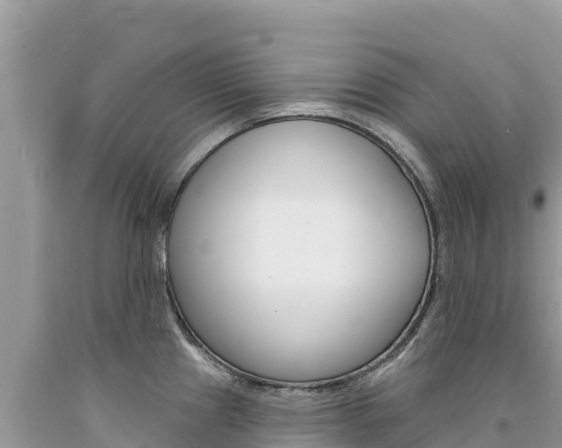 X0000094191241200710260947