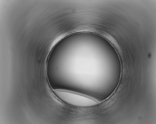 X0000094191242200710260947