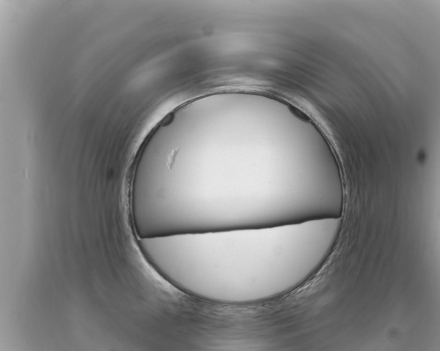 X0000094191243200710260947