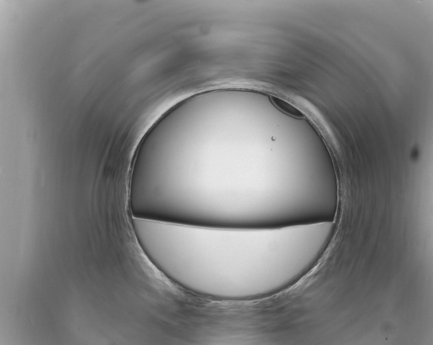 X0000094191244200710260947