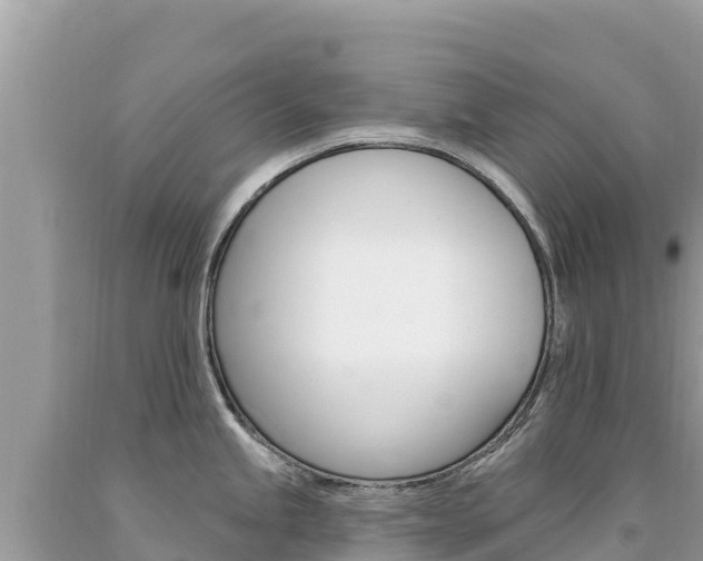 X0000094191245200710260947