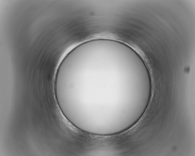 X0000094191248200710260947