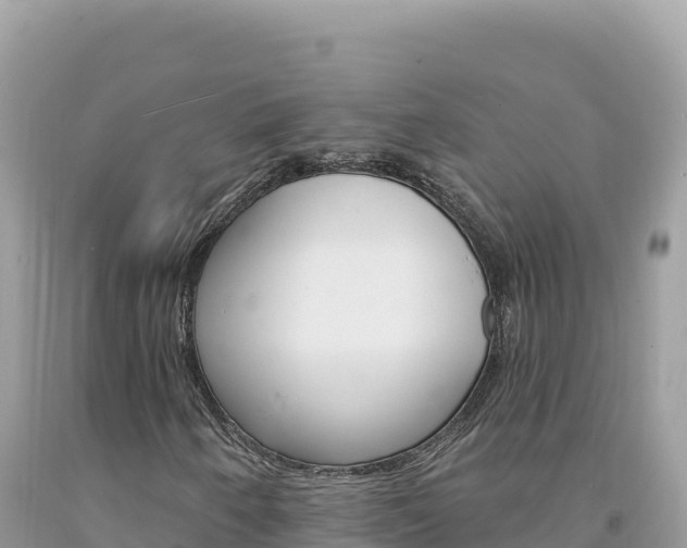 X0000094191250200710260946