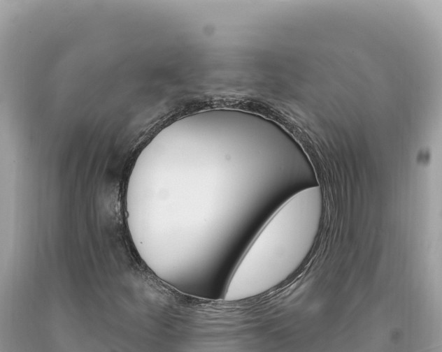 X0000094191252200710260946