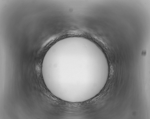 X0000094191254200710260946