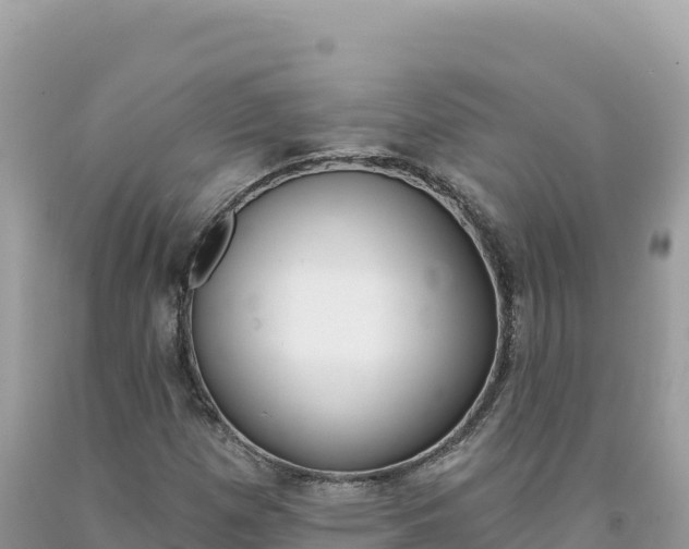 X0000094191257200710260946