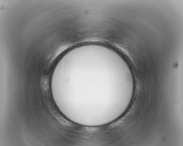 X0000094191258200710260946