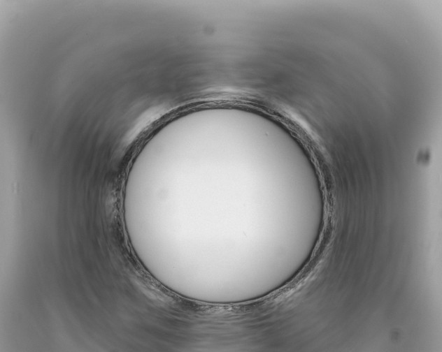 X0000094191259200710260946