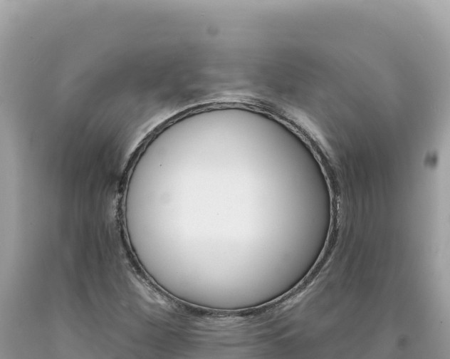 X0000094191260200710260946
