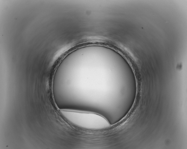 X0000094191261200710260946