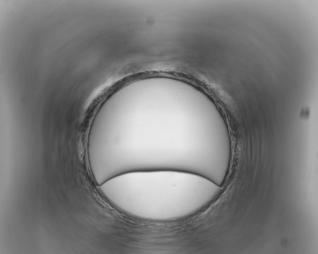 X0000094191262200710260946