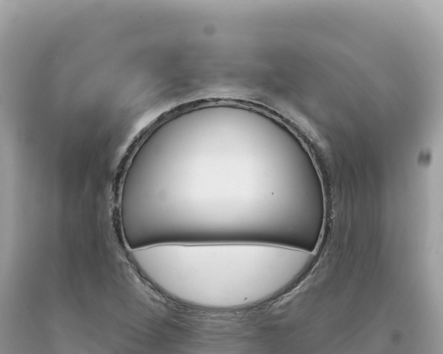 X0000094191264200710260946