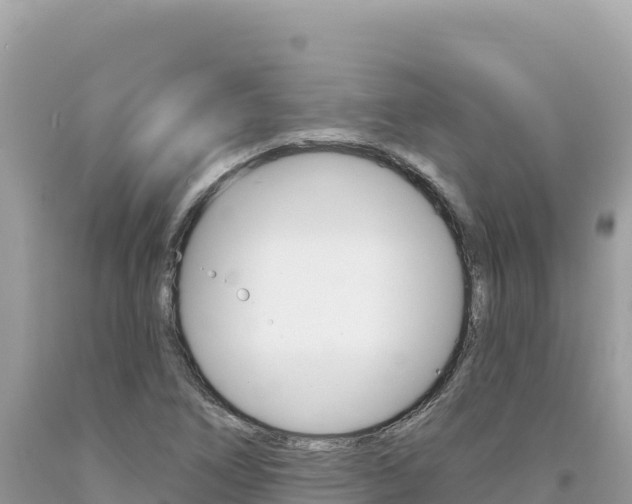X0000094191266200710260946