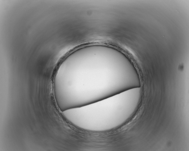 X0000094191267200710260946