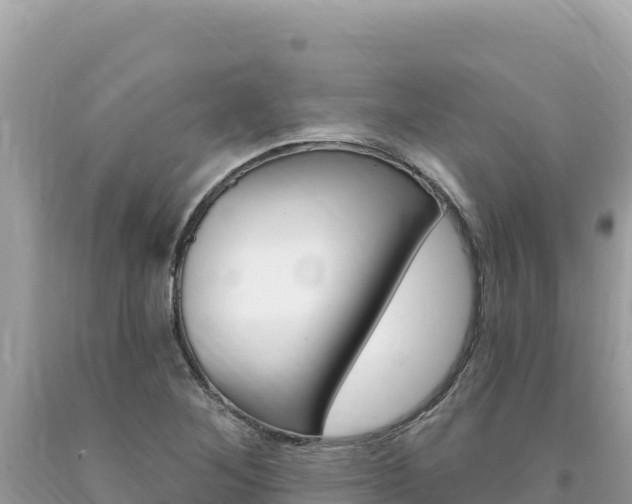 X0000094191268200710260946