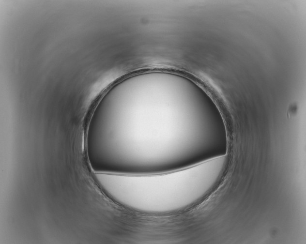 X0000094191269200710260946