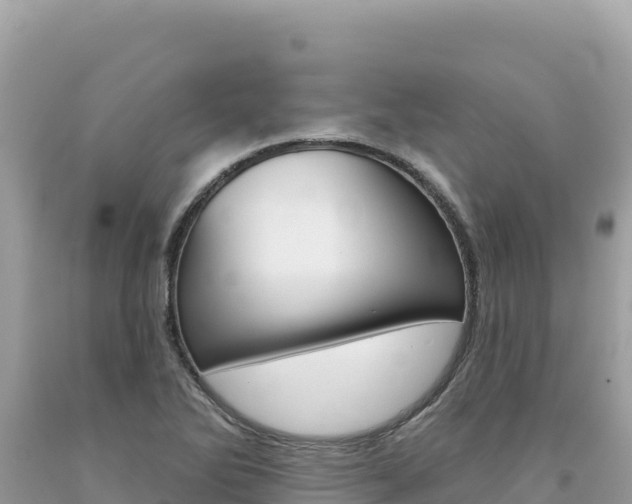 X0000094191270200710260946