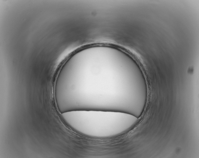 X0000094191271200710260946