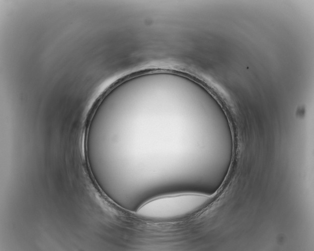 X0000094191272200710260946