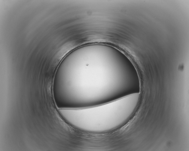 X0000094191273200710260946