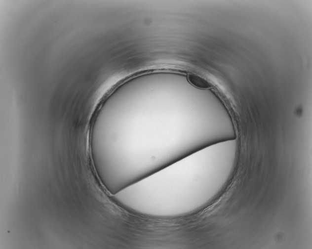 X0000094191275200710260946