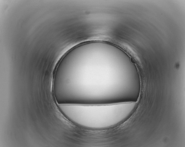 X0000094191276200710260946