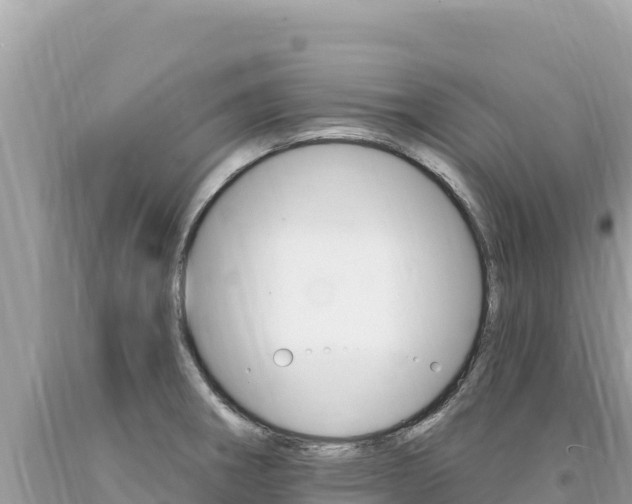 X0000094191282200710260946