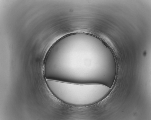 X0000094191284200710260946