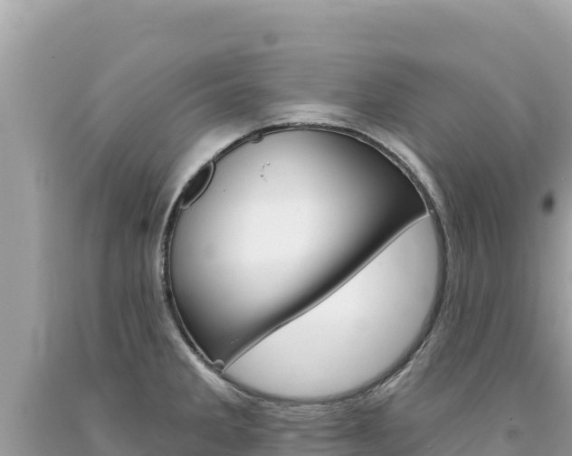 X0000094191285200710260946