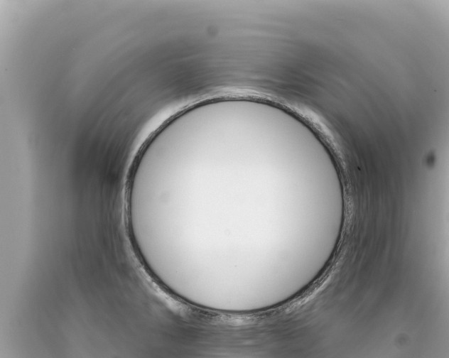 X0000094191286200710260946