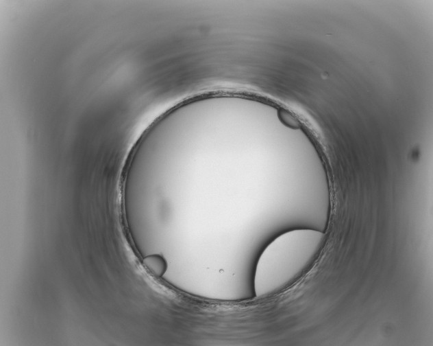X0000094191287200710260946