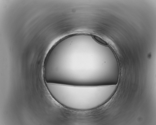X0000094191288200710260946