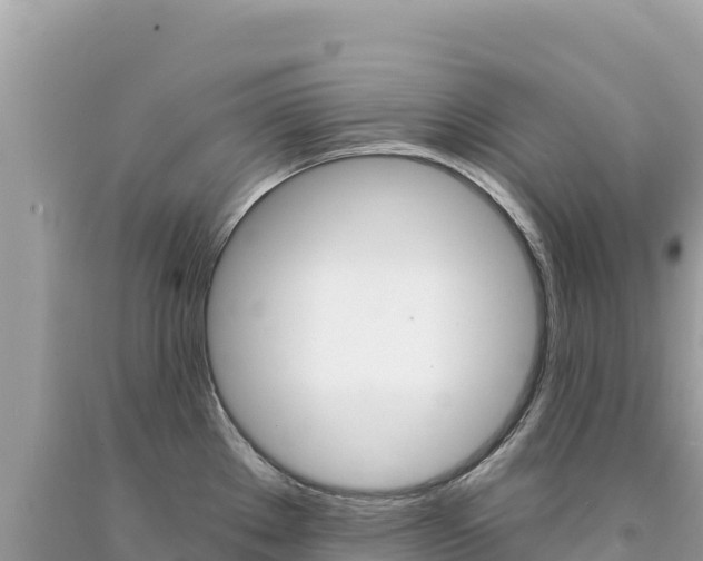X0000094191289200710260946