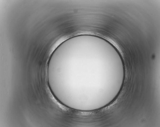 X0000094191290200710260946
