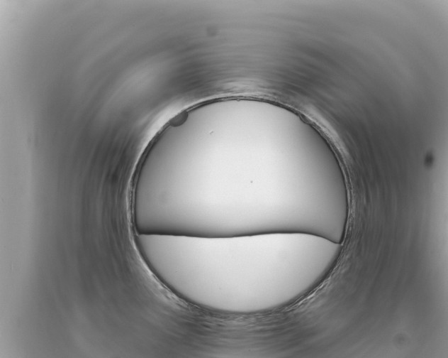 X0000094191291200710260946