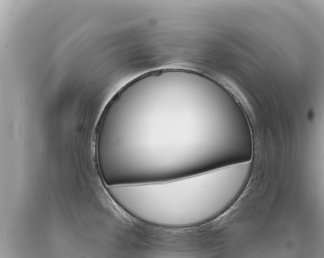 X0000094191292200710260946