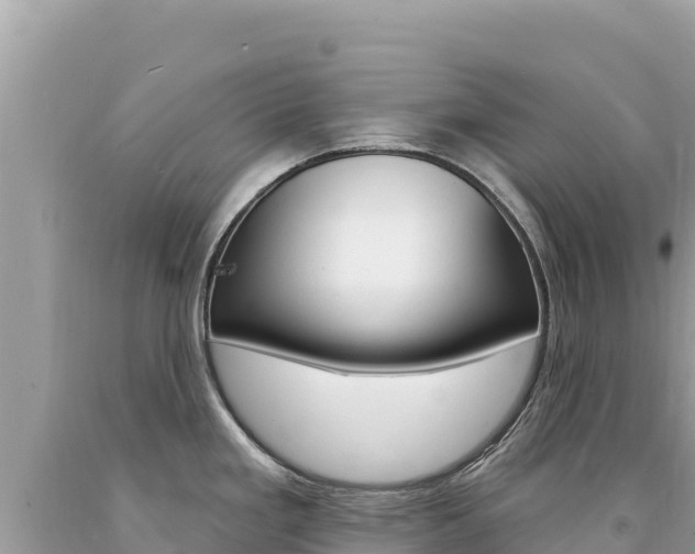 X0000094191293200710260946