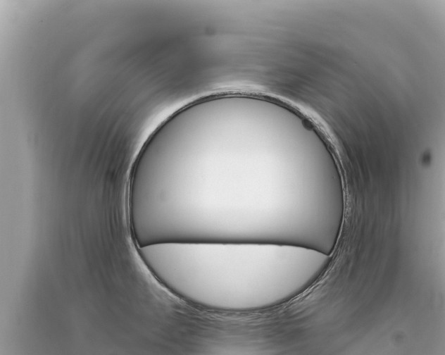 X0000094191295200710260946