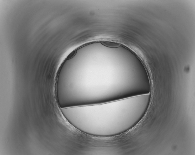 X0000094191296200710260946